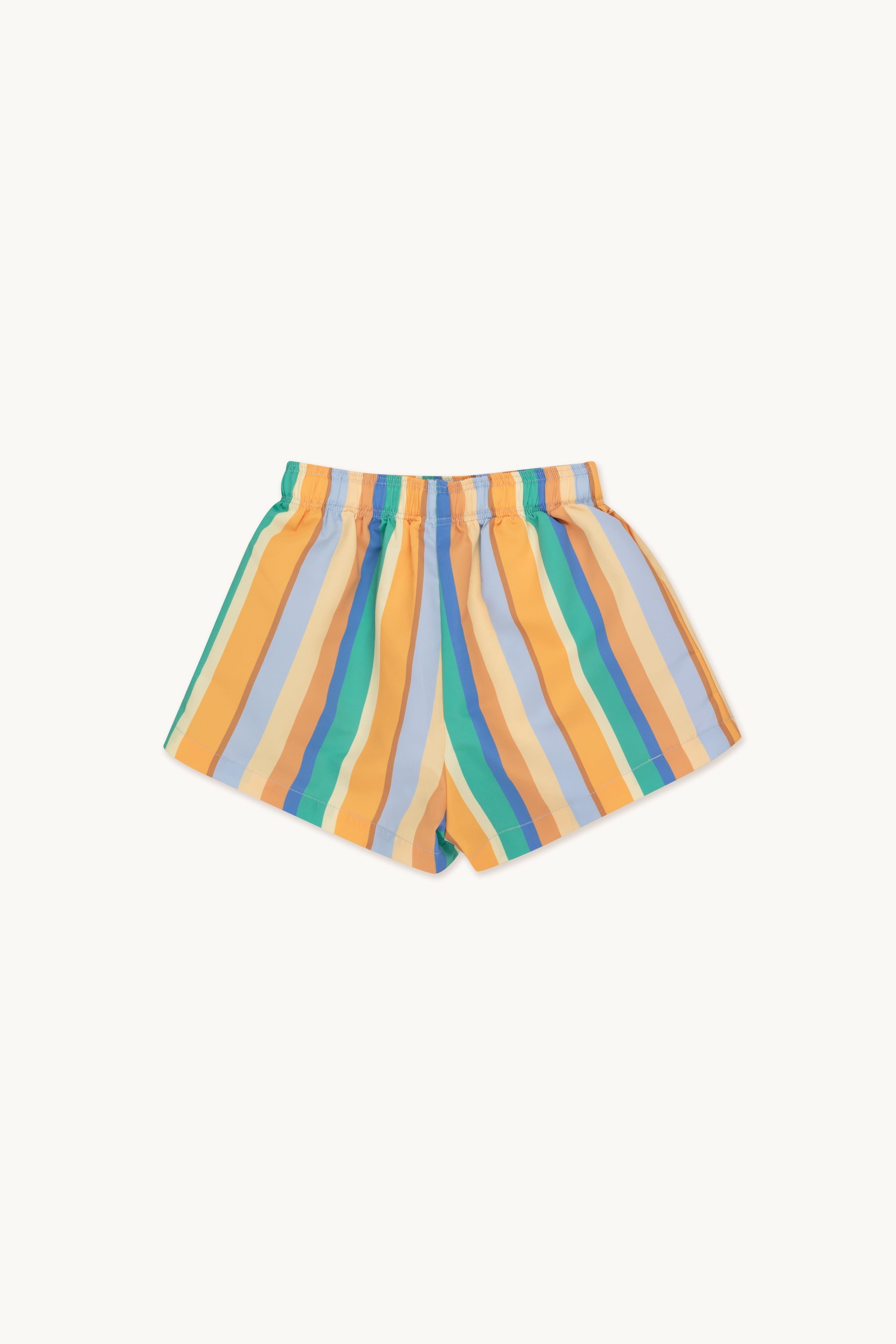 MULTICOLOR STRIPES TRUNKS