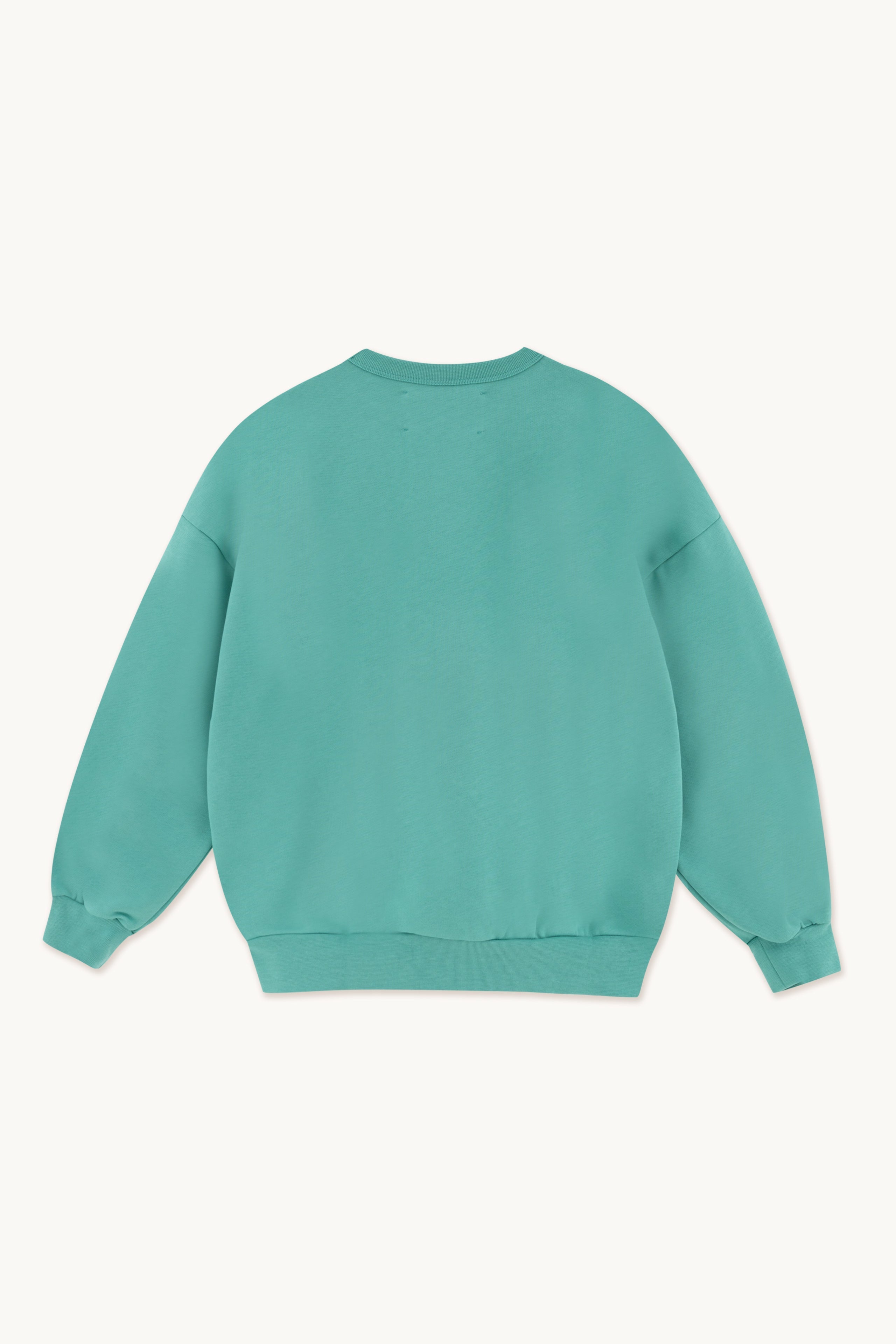 “MIRROR HORSES” SWEATSHIRT