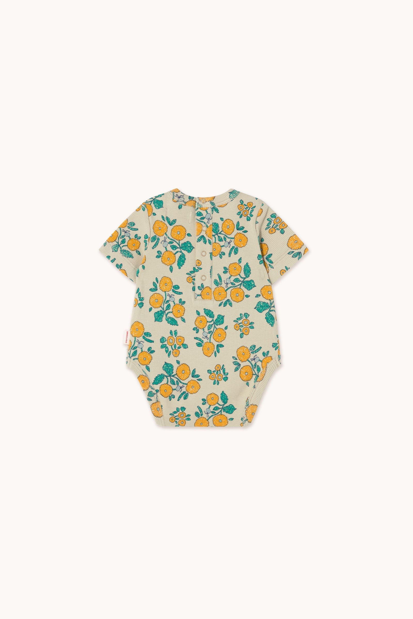 FLOWERS RIB BODY