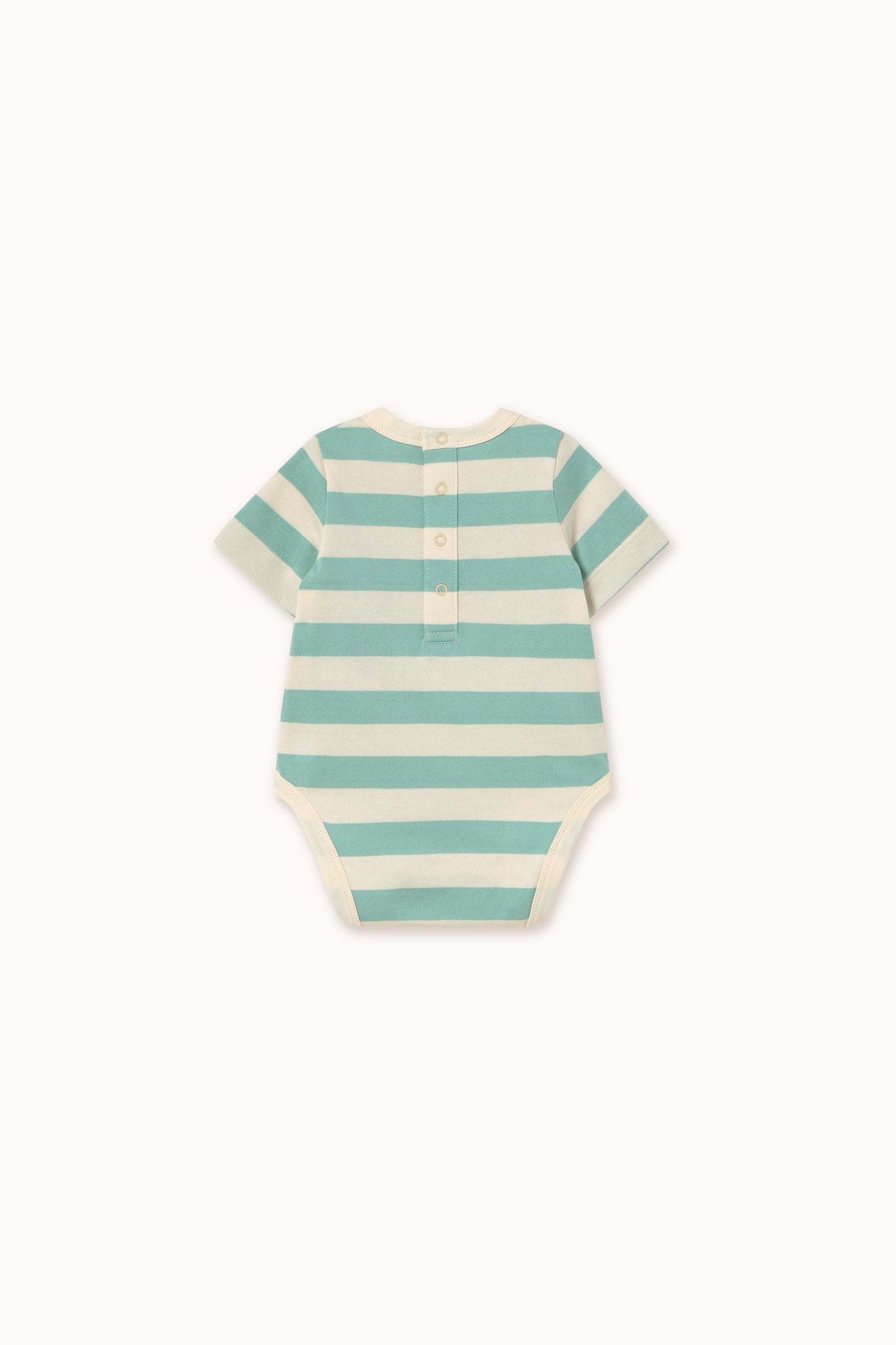 STRIPES BODY