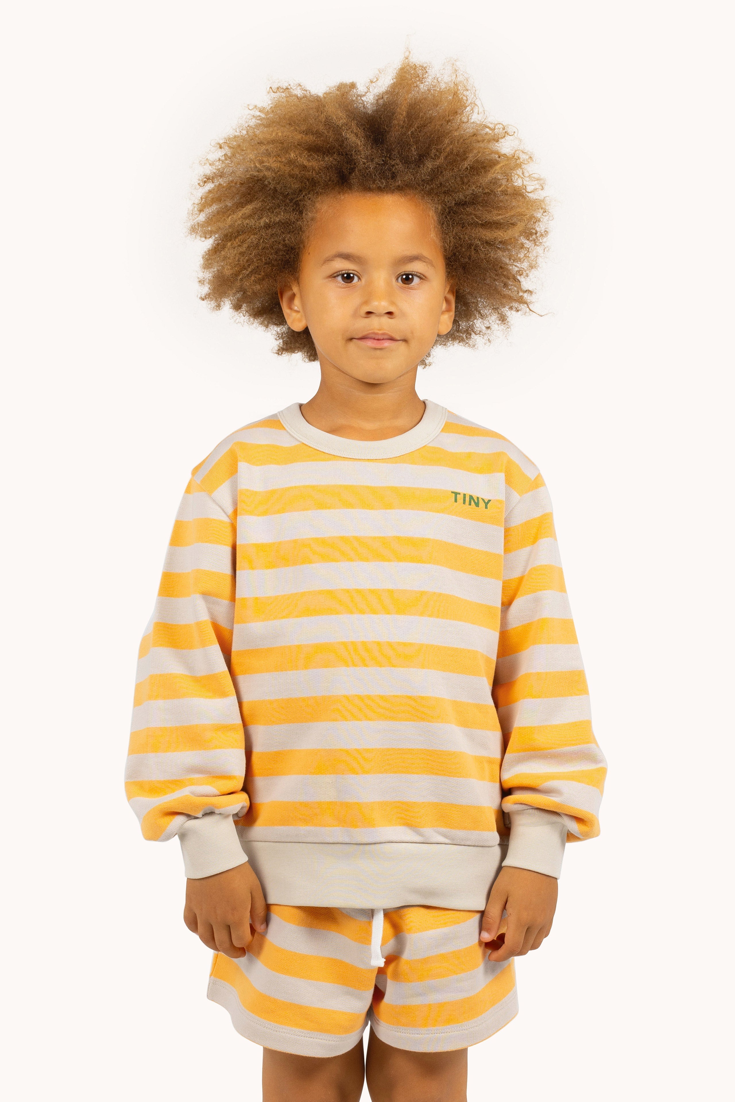 SUDADERA STRIPES