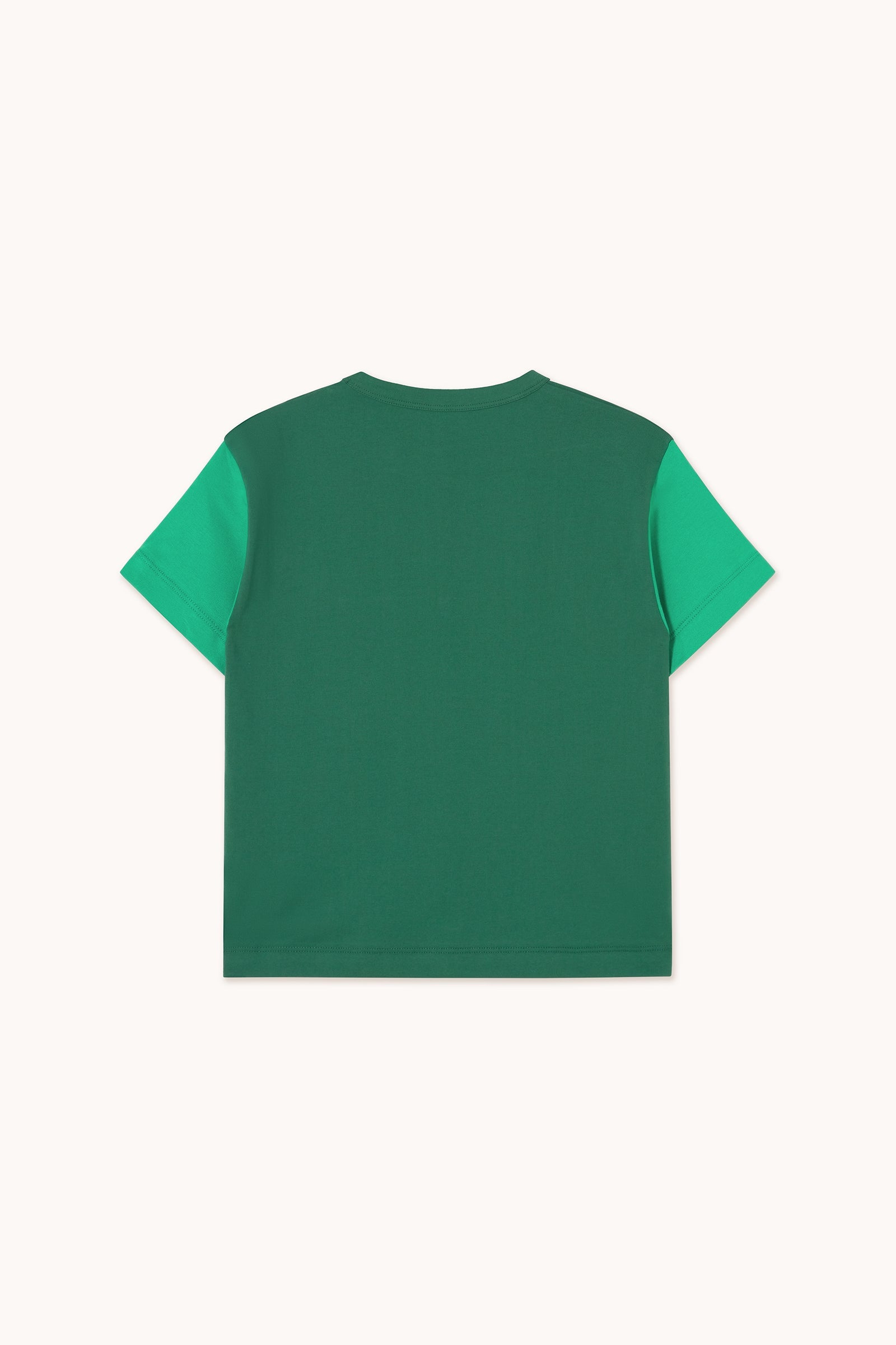 CAMISETA COLOR BLOCK