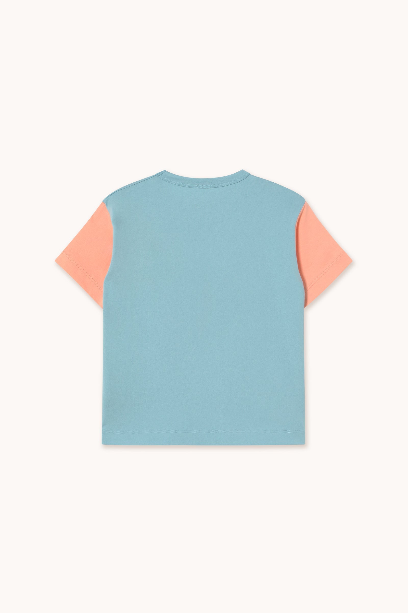 CAMISETA COLOR BLOCK