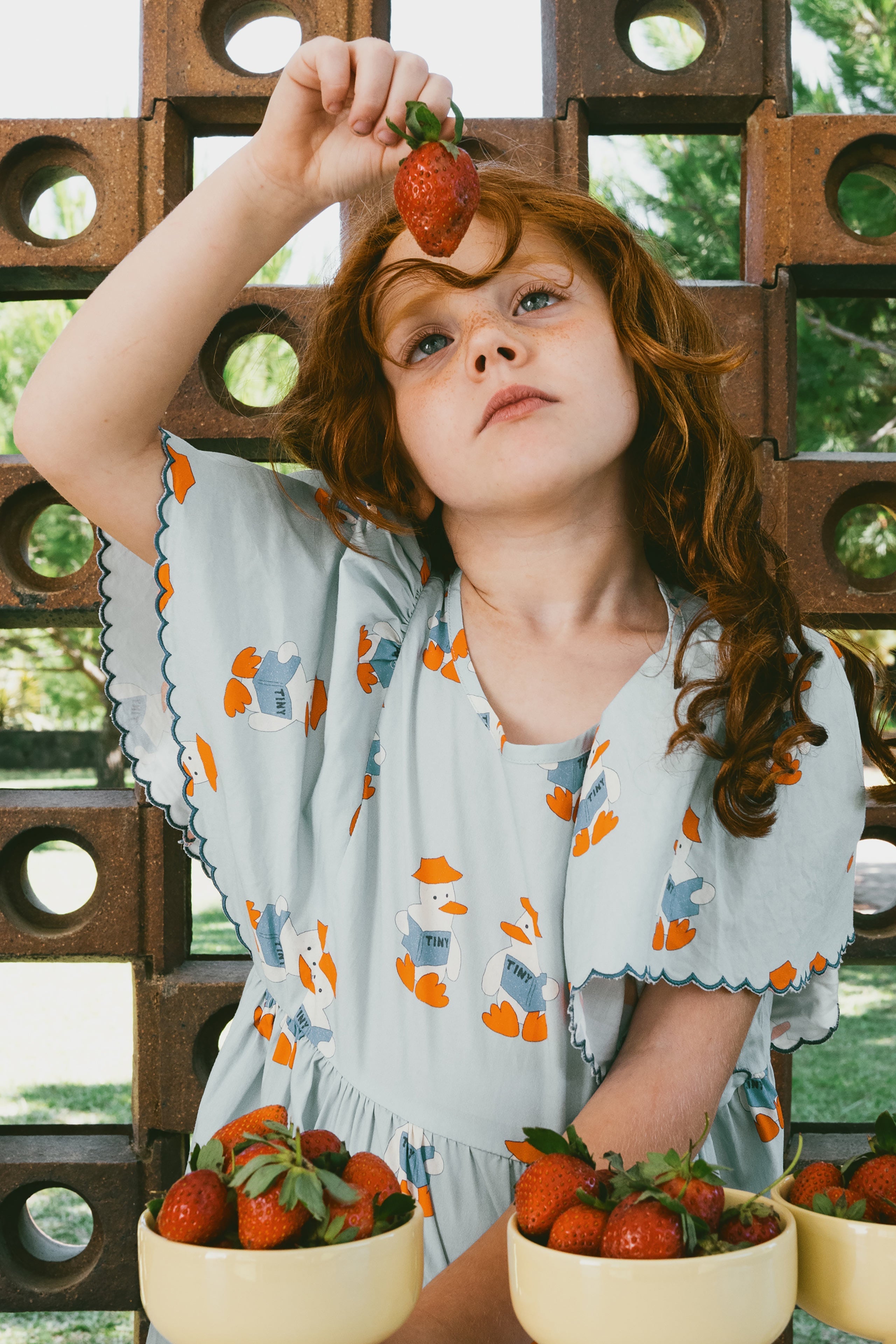 READERS DRESS