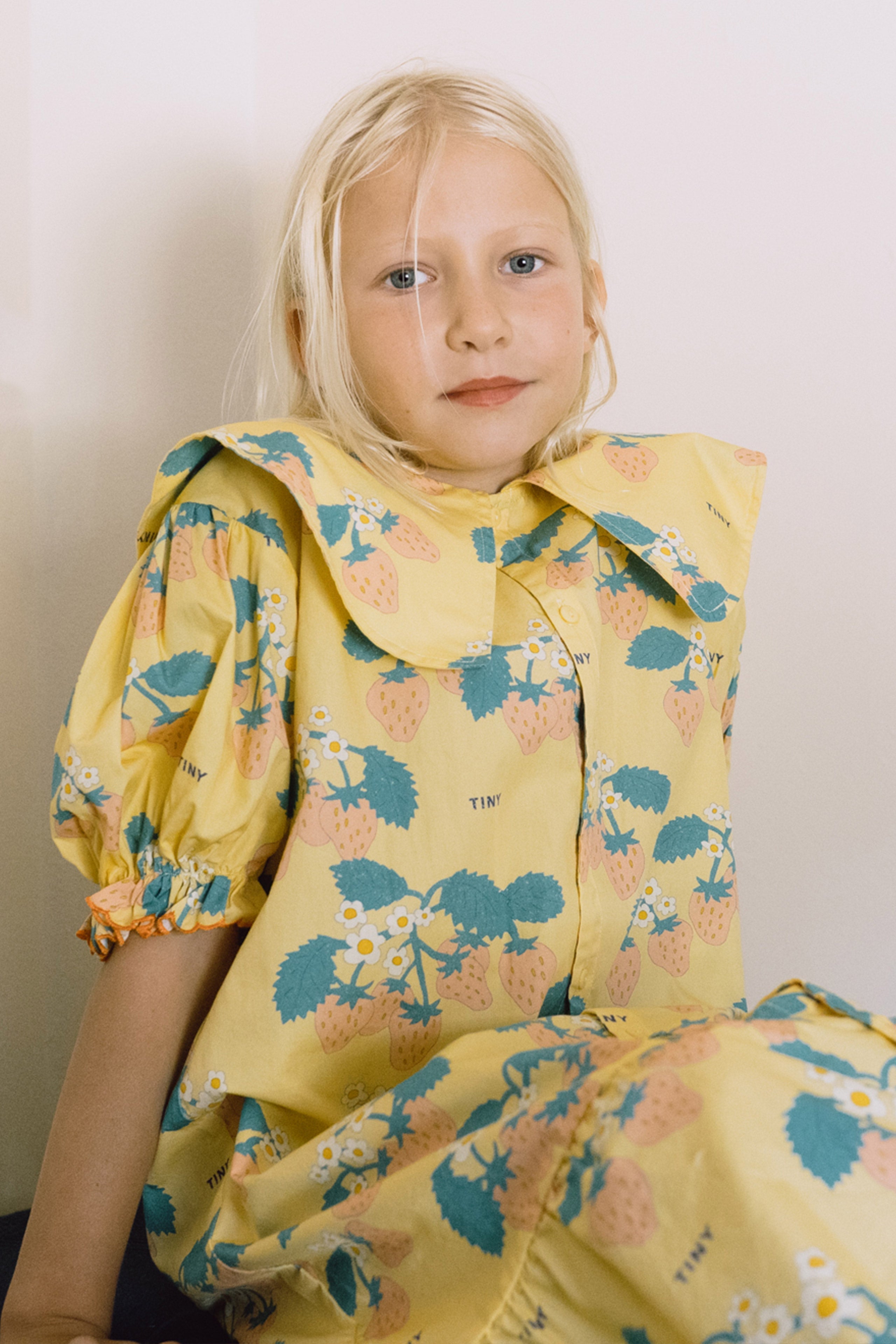 STRAWBERRIES DRESS