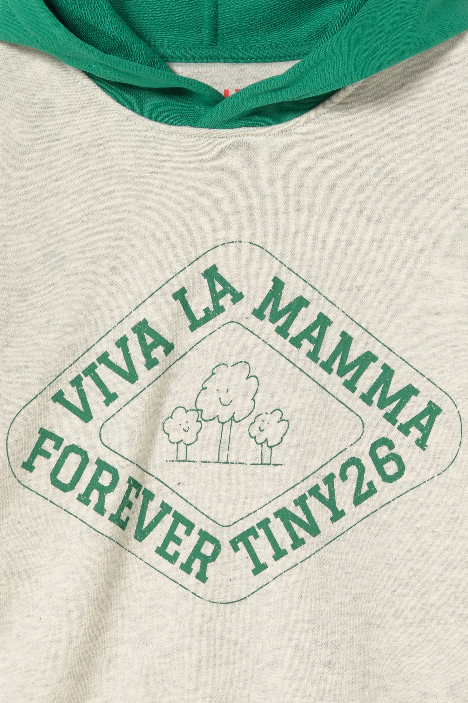 FOREVER TINY GRAPHIC HOODIE