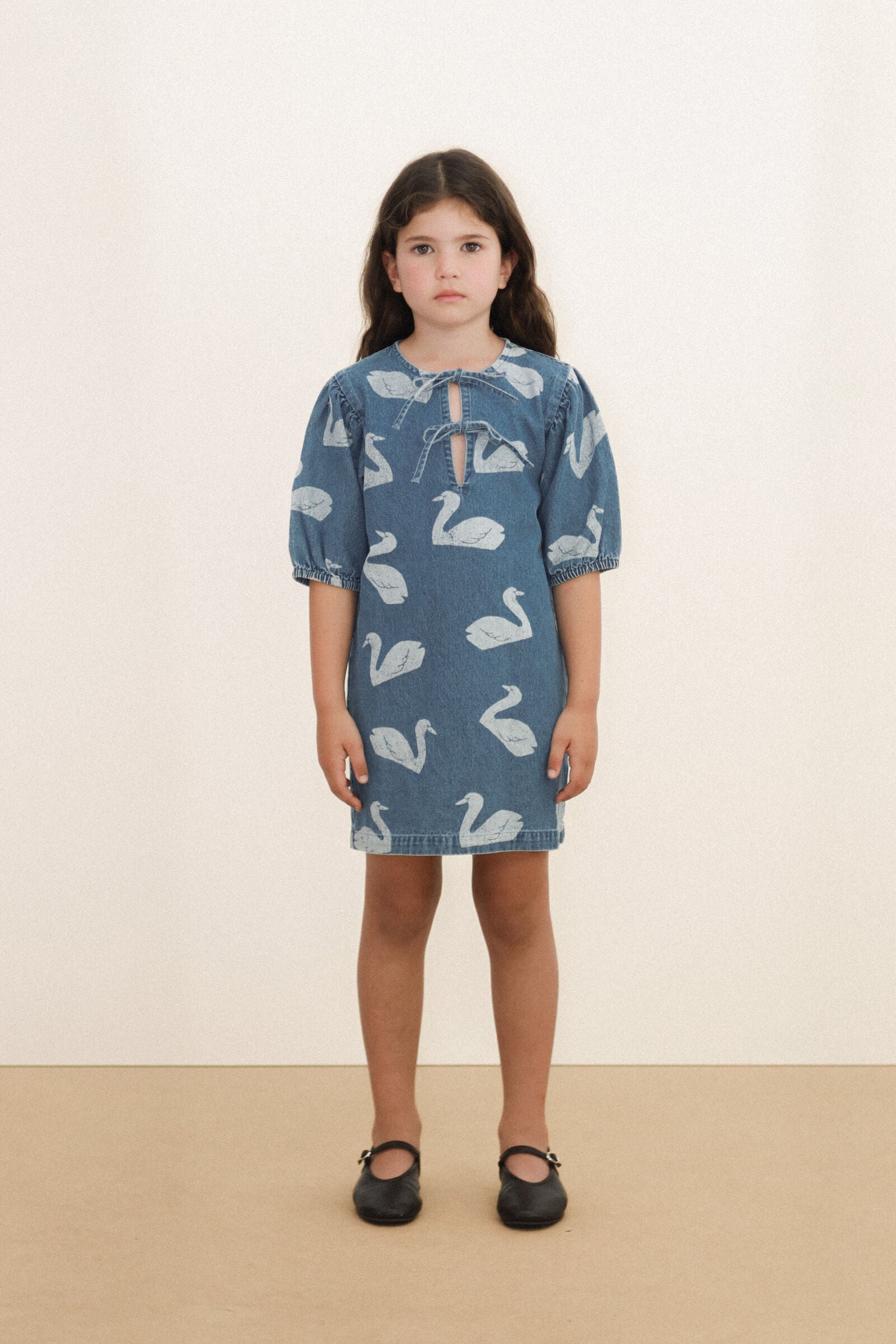 BIG SWANS DRESS