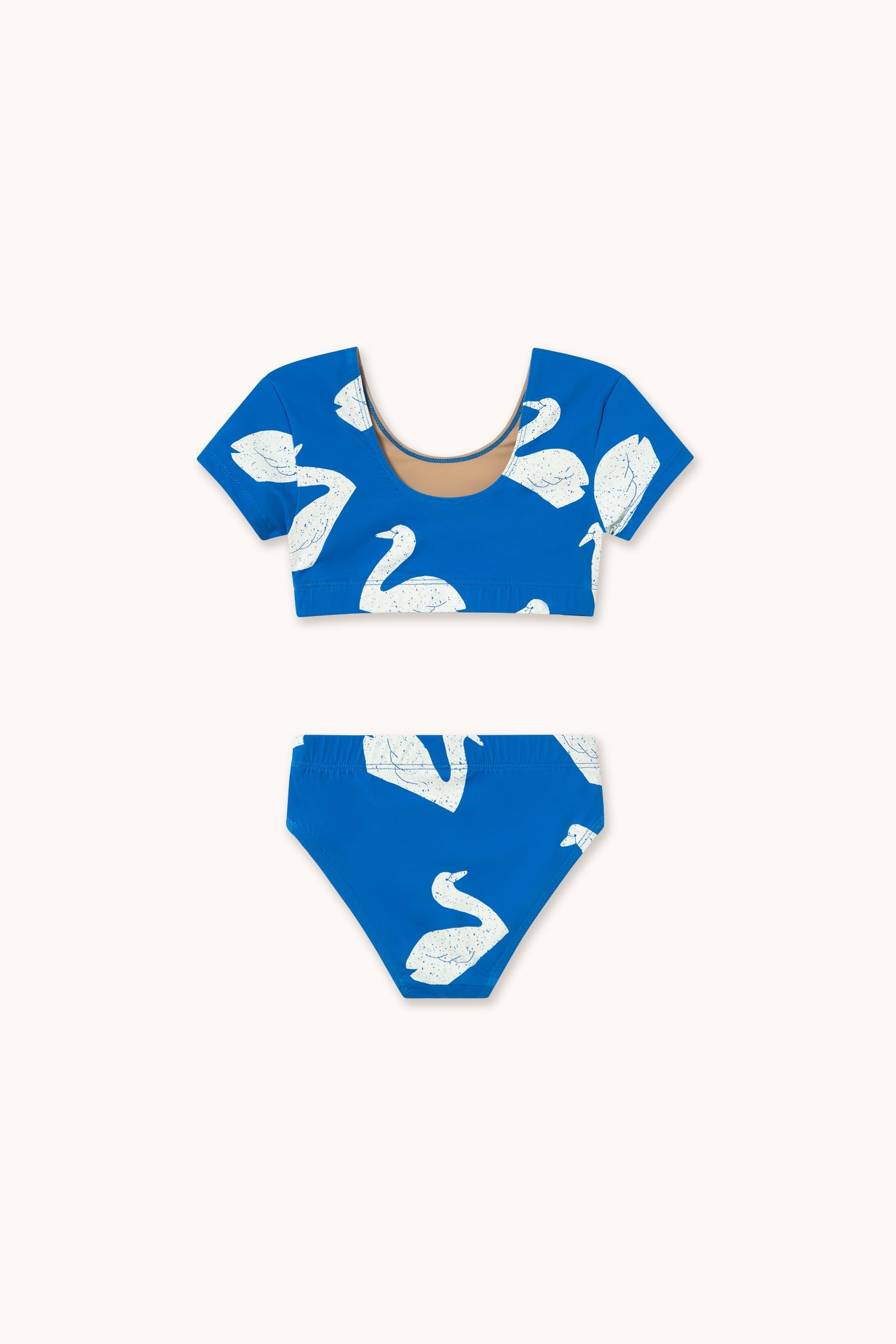 BIG SWANS SWIM SET