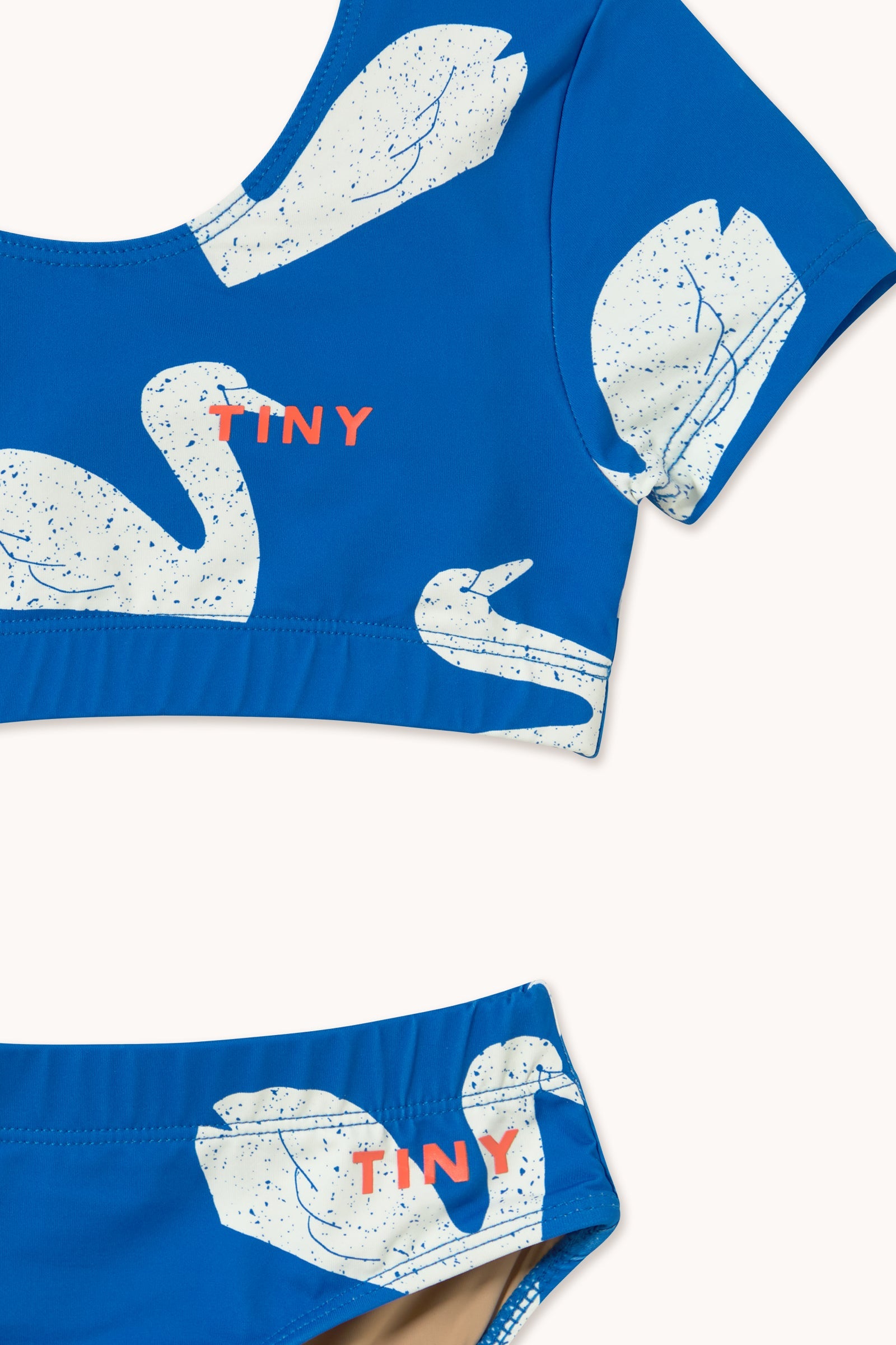 BIG SWANS SWIM SET