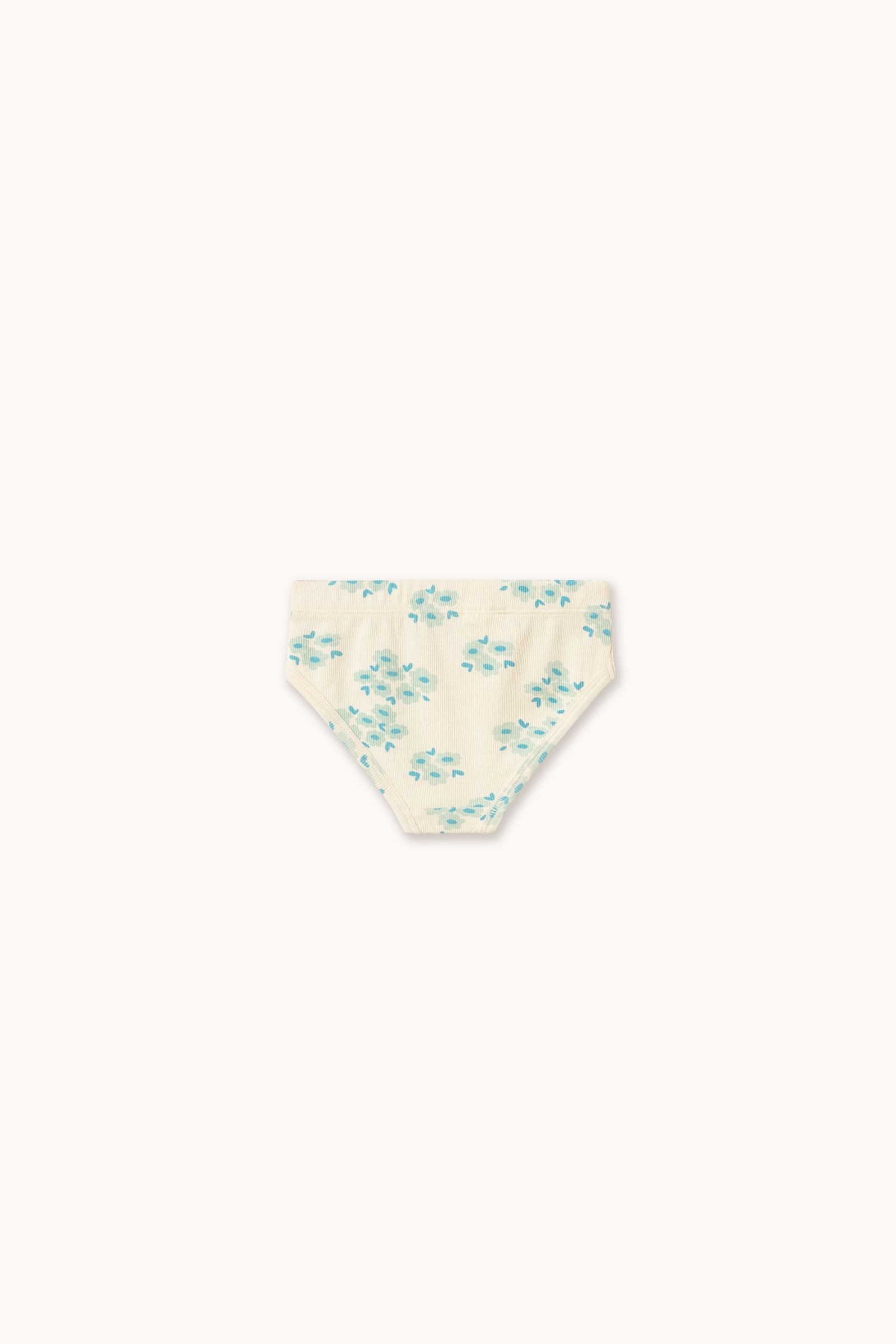 BLOSSOMS BRIEFS